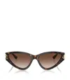 Jimmy Choo Acetate Jc5019 Sunglasses In Brown