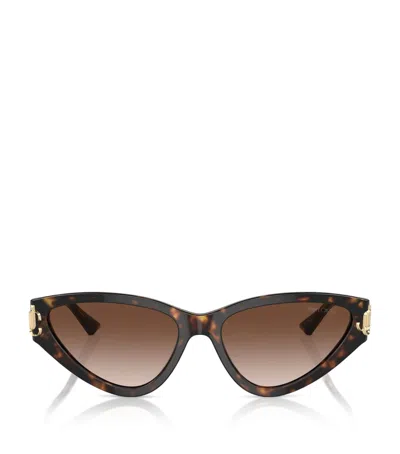 Jimmy Choo Acetate Jc5019 Sunglasses In Brown