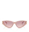 Jimmy Choo Acetate Jc5019 Sunglasses In Pink