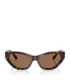 Jimmy Choo Acetate Jc5022b Sunglasses In Brown