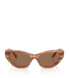 Jimmy Choo Woman Sunglass Jc5022b In Brown