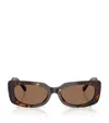 Jimmy Choo Acetate Jc5029u Sunglasses In Brown