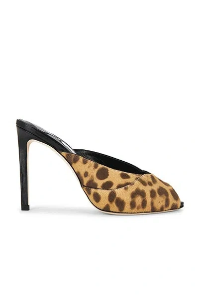 Jimmy Choo Brigitte Leopard Print Pony 100 Mule In Brown