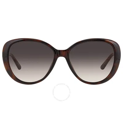 Jimmy Choo Brown Gradient Butterfly Ladies Sunglasses Amira/g/s 0086/ha 57