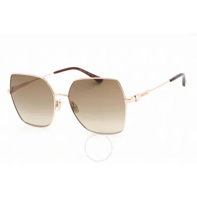 Jimmy Choo Brown Gradient Butterfly Ladies Sunglasses Reye/s 0ddb/ha 59 In Brown / Copper / Gold