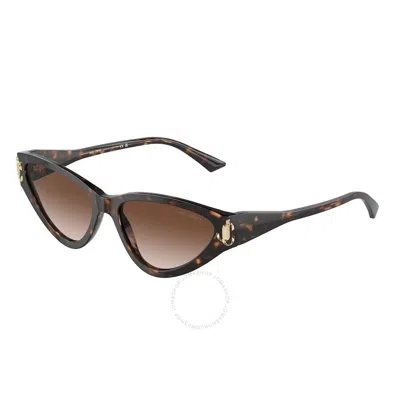 Jimmy Choo Brown Gradient Cat Eye Ladies Sunglasses Jc5019 500213 55 In Multi