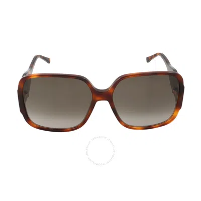 Jimmy Choo Brown Gradient Square Ladies Sunglasses Tara/s 0086/ha 59