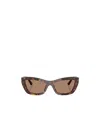 Jimmy Choo Sunglasses In Brown