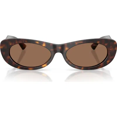 Jimmy Choo Havana Oval Logo Sunglasses In Havana/dark Brown