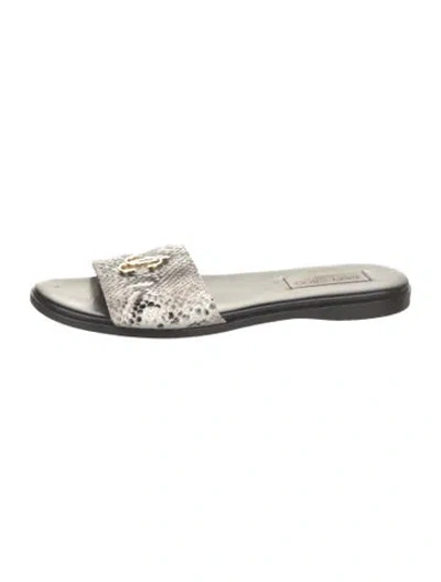 Pre-owned Jimmy Choo Embossed Leather Animal Print Slides In White