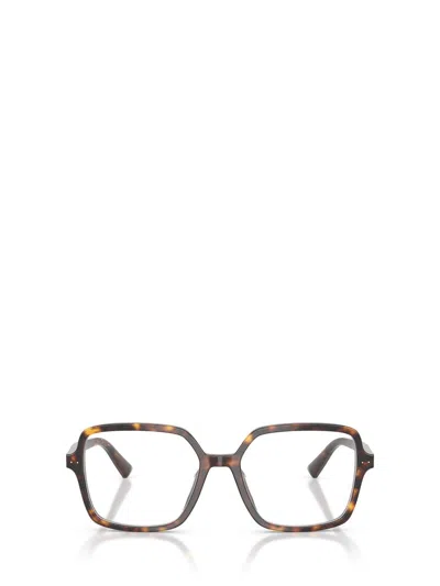 Jimmy Choo Eyeglasses In Brown