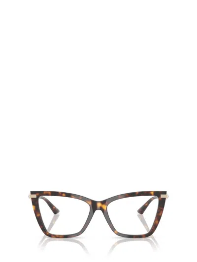 Jimmy Choo Eyeglasses In Brown