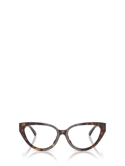 Jimmy Choo Eyeglasses In Brown