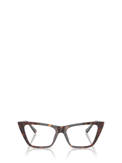 Jimmy Choo Eyeglasses In Brown