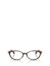 Jimmy Choo Eyeglasses In Brown