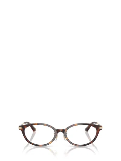 Jimmy Choo Eyeglasses In Brown