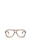 Jimmy Choo Eyeglasses In Brown