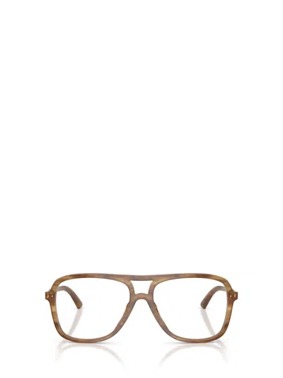 Jimmy Choo Eyeglasses In Brown