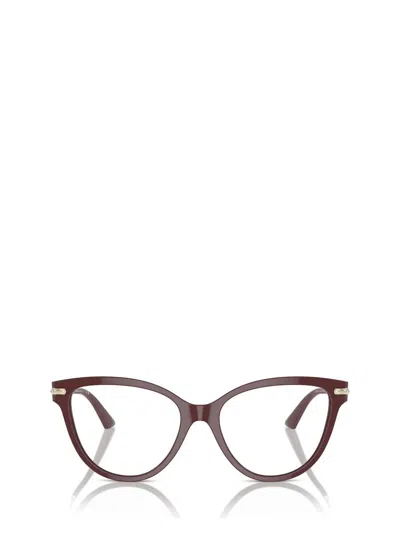 Jimmy Choo Eyeglasses In Brown