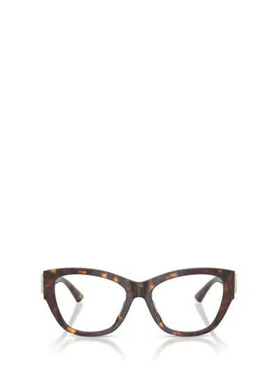 Jimmy Choo Eyeglasses In Brown