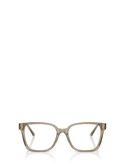 Jimmy Choo Eyeglasses In Brown