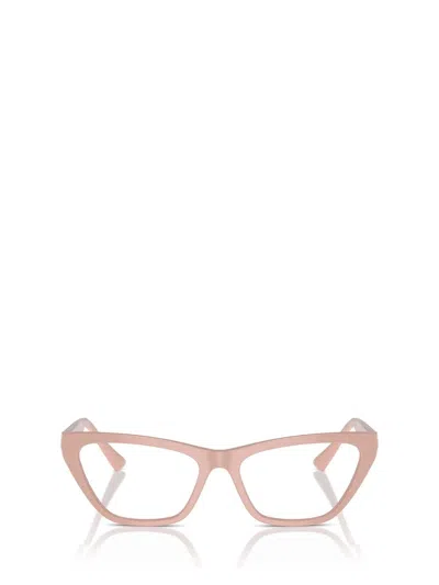 Jimmy Choo Eyeglasses In Multi