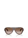 Jimmy Choo Eyewear Aviator Frame Sunglasses In Multi