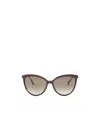 Jimmy Choo Eyewear Belinda Cat-eye Frame Sunglasses In Nude