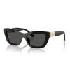 Jimmy Choo Jc Logo Acetate Cat-eye Sunglasses In Black