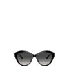 Jimmy Choo Womens Black Jc5007 Phantos-frame Actetate Sunglasses In Black