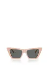 Jimmy Choo 53mm Cat Eye Sunglasses In Pink