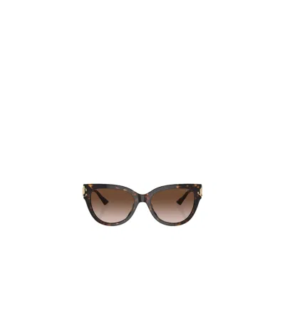 Jimmy Choo Eyewear Square Frame Sunglasses In Brown