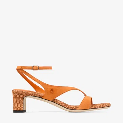Jimmy Choo Faye 45 Sandals In Multi