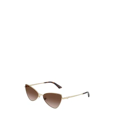 Jimmy Choo Full Frame Sunglasses In Green