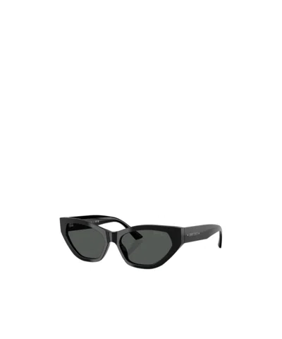 Jimmy Choo Full Frame Sunglasses In Black