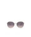 Jimmy Choo Full Frame Sunglasses In Gray