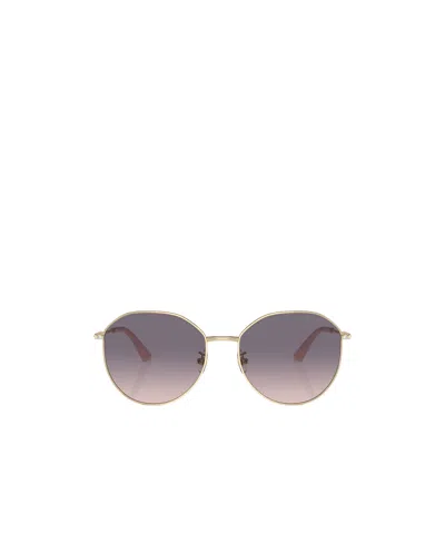 Jimmy Choo Full Frame Sunglasses In Gray