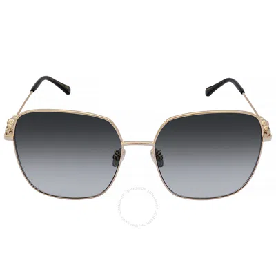 Jimmy Choo Grey Gradient Butterfly Ladies Sunglasses Amora/f/sk 0000/9o 60 In Gray