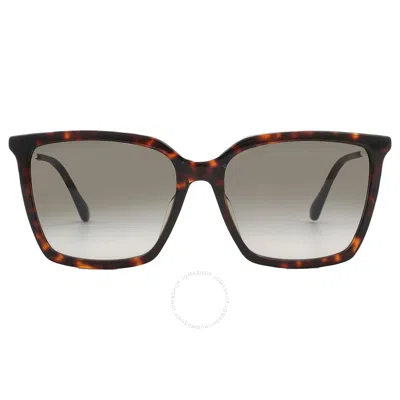Jimmy Choo Grey Gradient Square Ladies Sunglasses Totta/g/s 0086/ha 56 In Brown / Grey