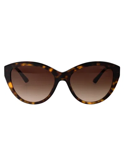 Jimmy Choo Havana Acetate Sunglasses In Brown