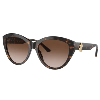 Jimmy Choo Jc 5007 500213 55mm Womens Phantos Sunglasses In Gradient Brown