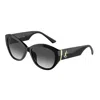 Jimmy Choo Jc 5013u 50008g 55mm Womens Butterfly Sunglasses In Black