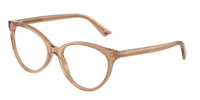Jimmy Choo Jc3047 5076 Women's Glasses Brown Size 52 - Free Lenses - Blue Light Block Available