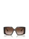 Jimmy Choo Sunglasses In Havana