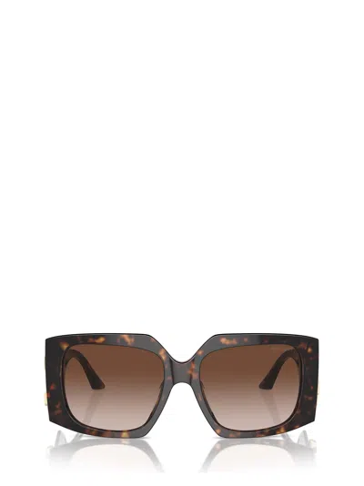 Jimmy Choo Sunglasses In Brown
