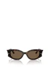 Jimmy Choo Woman Sunglasses Jc5015u In Havana