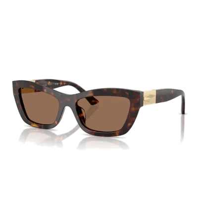 Jimmy Choo Jc5030 Sunglasses In Brown