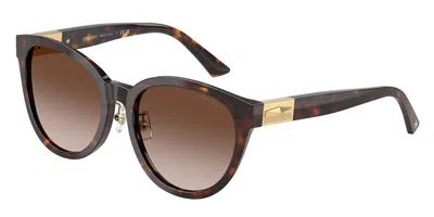 Jimmy Choo Jc5032d Asian Fit 50028g Women's Sunglasses Tortoiseshell Size 55 In Brown