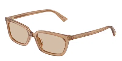 Jimmy Choo Jc5050u 507693 Occhiali Da Sole Marroni Per Donna In Brown