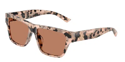 Jimmy Choo Jc5052u 508073 Occhiali Da Sole Tartarugatishell Per Donna In Gray